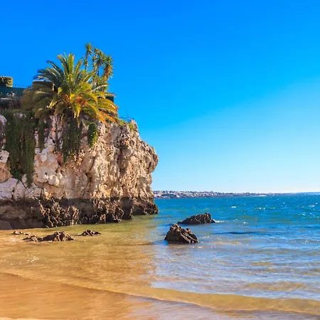 Lejlighed Eden Window To The Sea