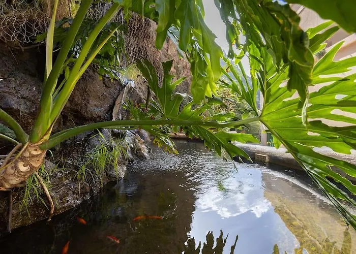 Eden Window To The Sea *